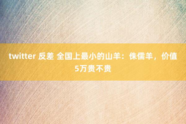 twitter 反差 全国上最小的山羊：侏儒羊，价值5万贵不贵