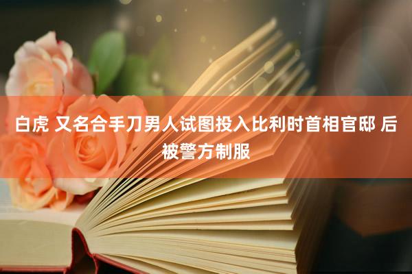 白虎 又名合手刀男人试图投入比利时首相官邸 后被警方制服
