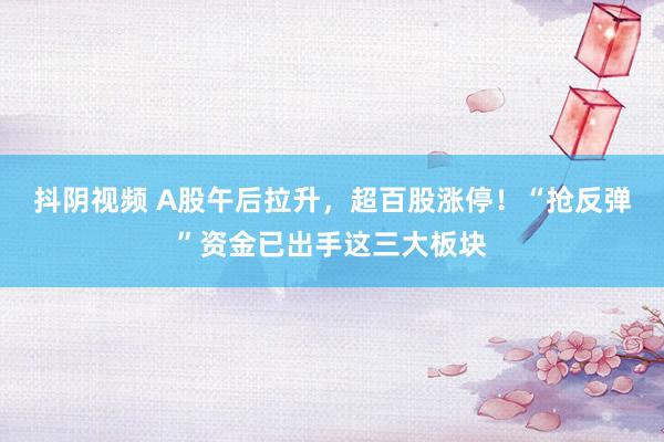抖阴视频 A股午后拉升，超百股涨停！“抢反弹”资金已出手这三大板块