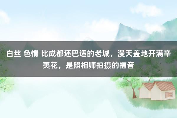 白丝 色情 比成都还巴适的老城，漫天盖地开满辛夷花，是照相师拍摄的福音