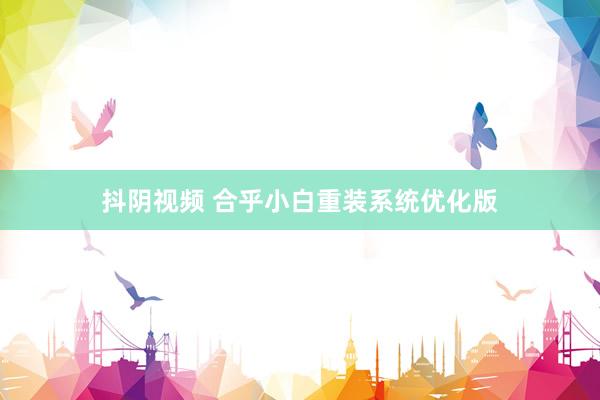 抖阴视频 合乎小白重装系统优化版