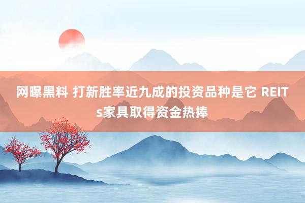 网曝黑料 打新胜率近九成的投资品种是它 REITs家具取得资金热捧