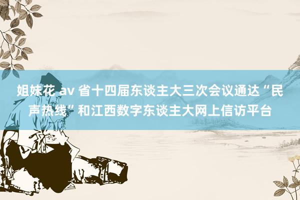 姐妹花 av 省十四届东谈主大三次会议通达“民声热线”和江西数字东谈主大网上信访平台
