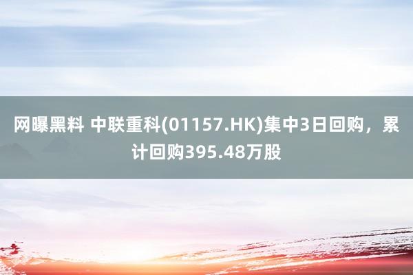 网曝黑料 中联重科(01157.HK)集中3日回购，累计回购395.48万股