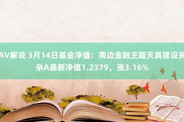 AV解说 3月14日基金净值：南边金融主题天真建设夹杂A最新净值1.2379，涨3.16%