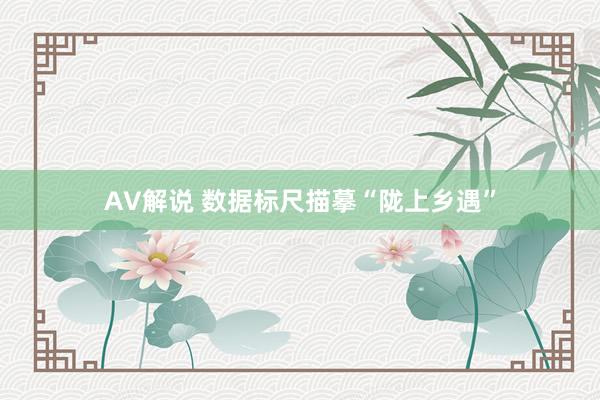 AV解说 数据标尺描摹“陇上乡遇”