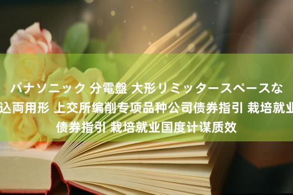 パナソニック 分電盤 大形リミッタースペースなし 露出・半埋込両用形 上交所编削专项品种公司债券指引 栽培就业国度计谋质效