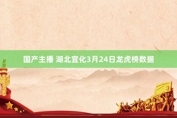国产主播 湖北宜化3月24日龙虎榜数据
