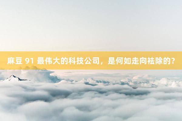 麻豆 91 最伟大的科技公司，是何如走向袪除的？