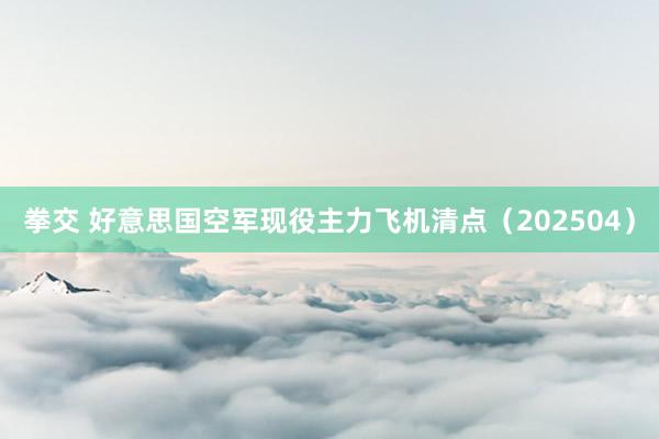 拳交 好意思国空军现役主力飞机清点（202504）