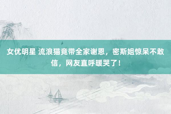 女优明星 流浪猫竟带全家谢恩，密斯姐惊呆不敢信，网友直呼暖哭了！