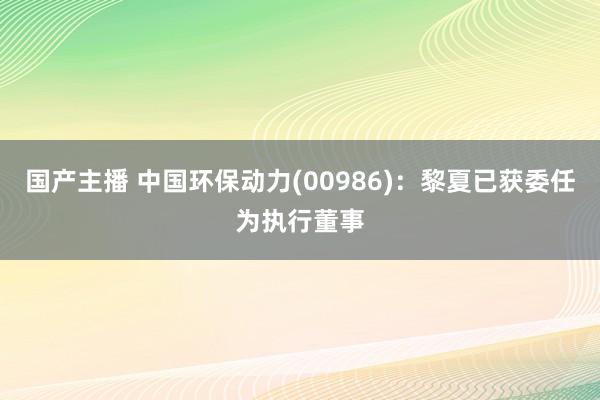 国产主播 中国环保动力(00986)：黎夏已获委任为执行董事
