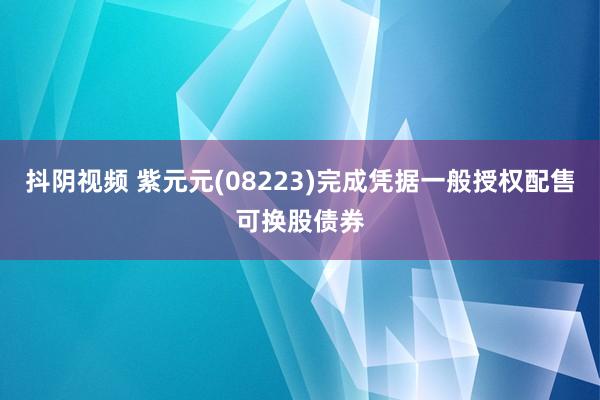 抖阴视频 紫元元(08223)完成凭据一般授权配售可换股债券