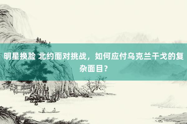 明星换脸 北约面对挑战，如何应付乌克兰干戈的复杂面目？