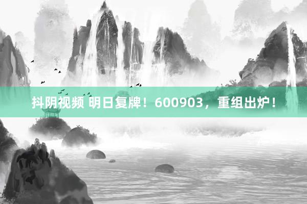 抖阴视频 明日复牌！600903，重组出炉！
