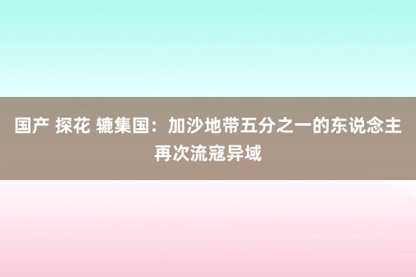 国产 探花 辘集国：加沙地带五分之一的东说念主再次流寇异域