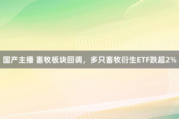 国产主播 畜牧板块回调，多只畜牧衍生ETF跌超2%