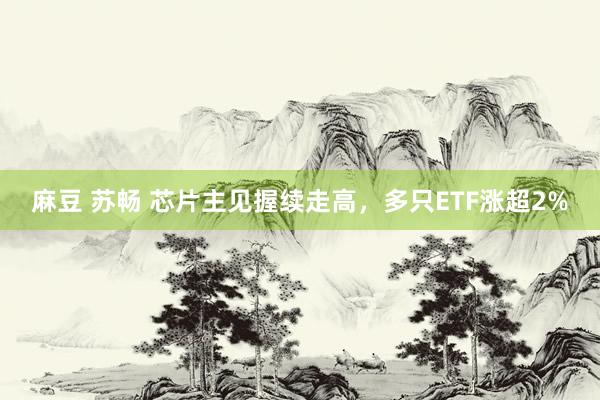 麻豆 苏畅 芯片主见握续走高，多只ETF涨超2%