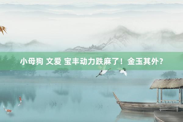 小母狗 文爱 宝丰动力跌麻了！金玉其外？