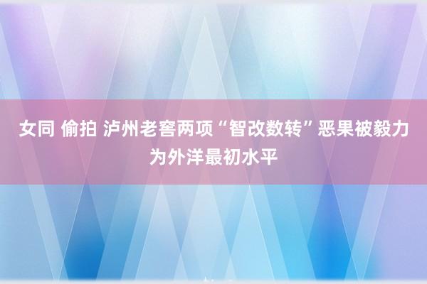 女同 偷拍 泸州老窖两项“智改数转”恶果被毅力为外洋最初水平
