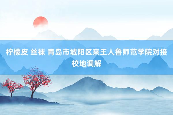 柠檬皮 丝袜 青岛市城阳区来王人鲁师范学院对接校地调解