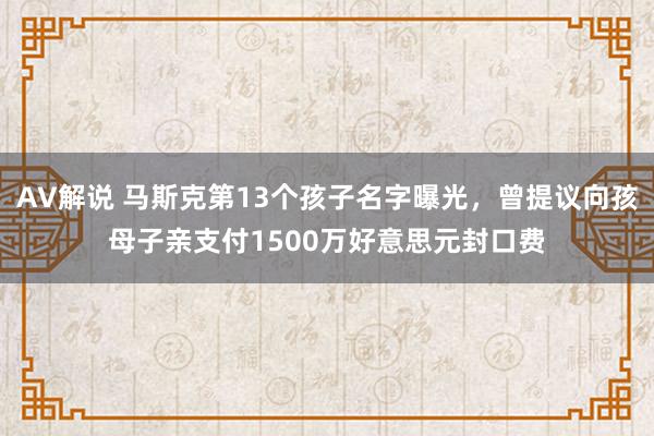 AV解说 马斯克第13个孩子名字曝光，曾提议向孩母子亲支付1500万好意思元封口费
