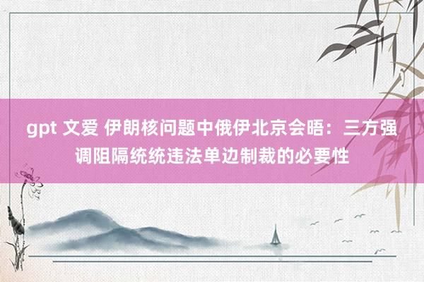 gpt 文爱 伊朗核问题中俄伊北京会晤：三方强调阻隔统统违法单边制裁的必要性