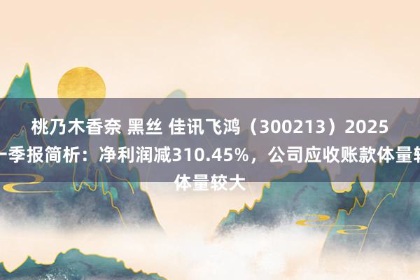 桃乃木香奈 黑丝 佳讯飞鸿（300213）2025年一季报简析：净利润减310.45%，公司应收账款体量较大